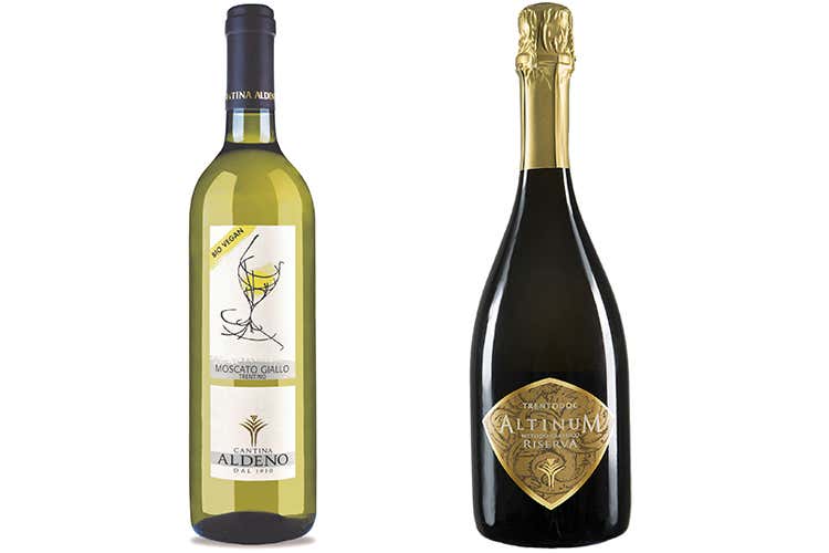 Pioggia di premi per Cantina Aldeno  Obiettivi: qualit&agrave; e rispetto dell&rsquo;ambiente