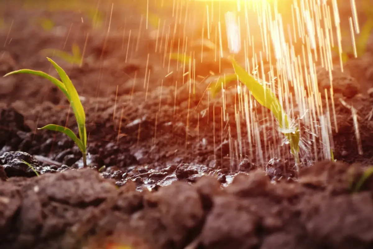Al Nord piove dopo pi&ugrave; di tre mesi ma la siccit&agrave; continua a spaventare