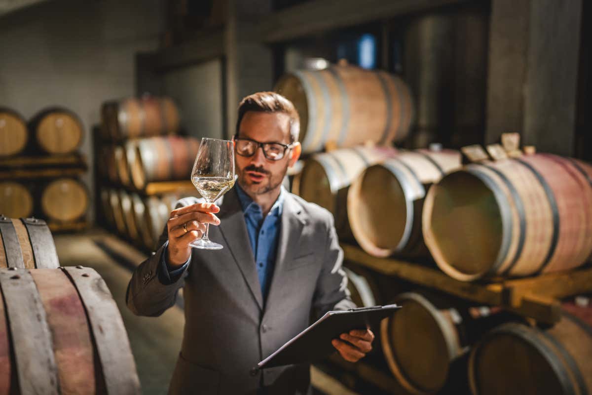 Analisi sensoriale: il viaggio invisibile che facciamo ogni volta a tavola Analisi sensoriale: il viaggio invisibile che facciamo ogni volta a tavola