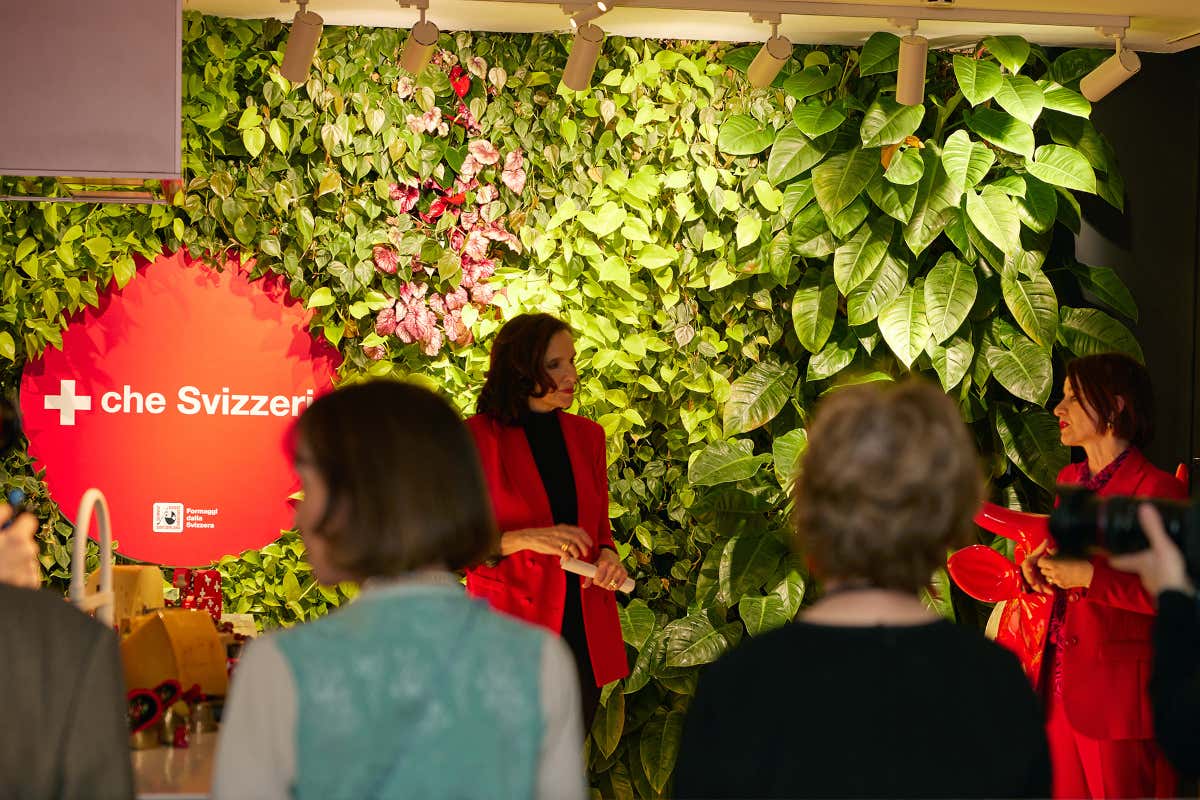 Scopri i sei formaggi svizzeri d'eccellenza protagonisti di “{[ ]} che Svizzeri”