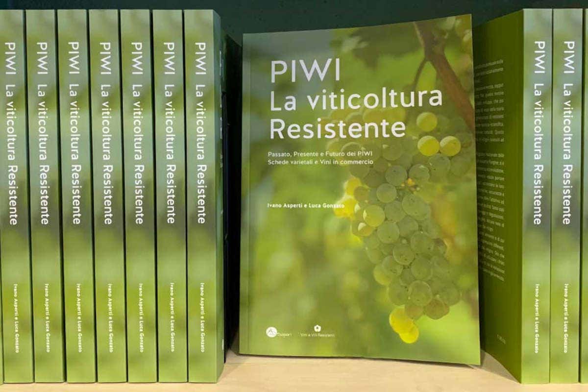 A Venezia il battesimo ufficiale dell'Associazione Piwi Italia A Venezia il battesimo ufficiale dell'Associazione Piwi Italia