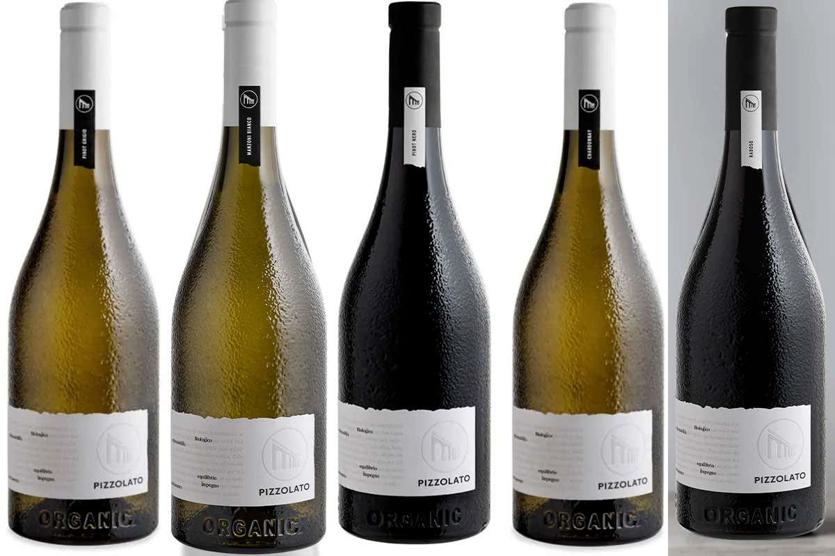 Le etichette Pizzolato Pizzolato, per i 40 anni di biologico ecco la linea back to basic Le etichette Pizzolato Pizzolato, per i 40 anni di biologico ecco la linea back to basic