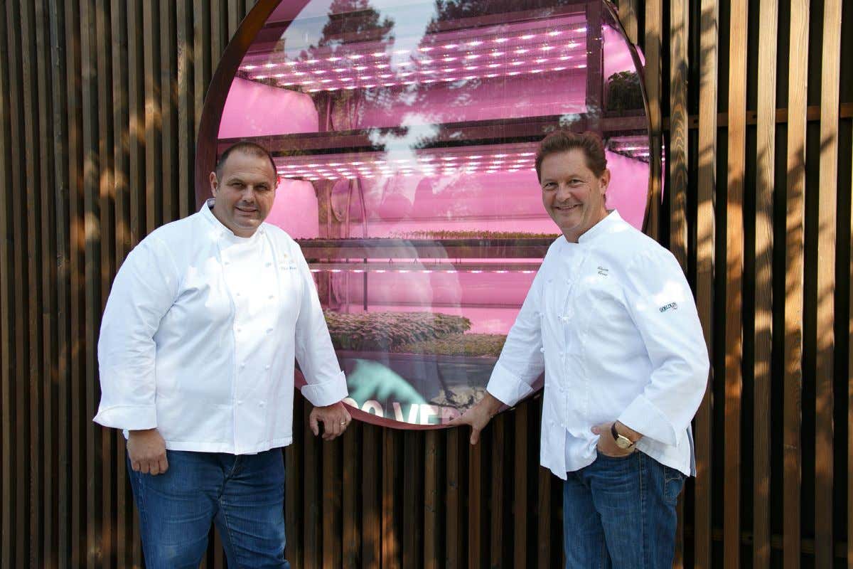 Planet Farms lancia le insalate e il pesto da agricoltura verticale