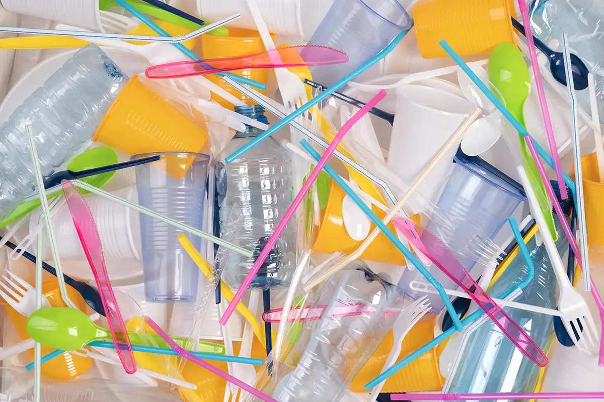 Plastica monouso, l'Italia si allinea all'Europa ma con due eccezioni L'Italia si allinea all'Europa sulla plastica monouso, ma con due eccezioni