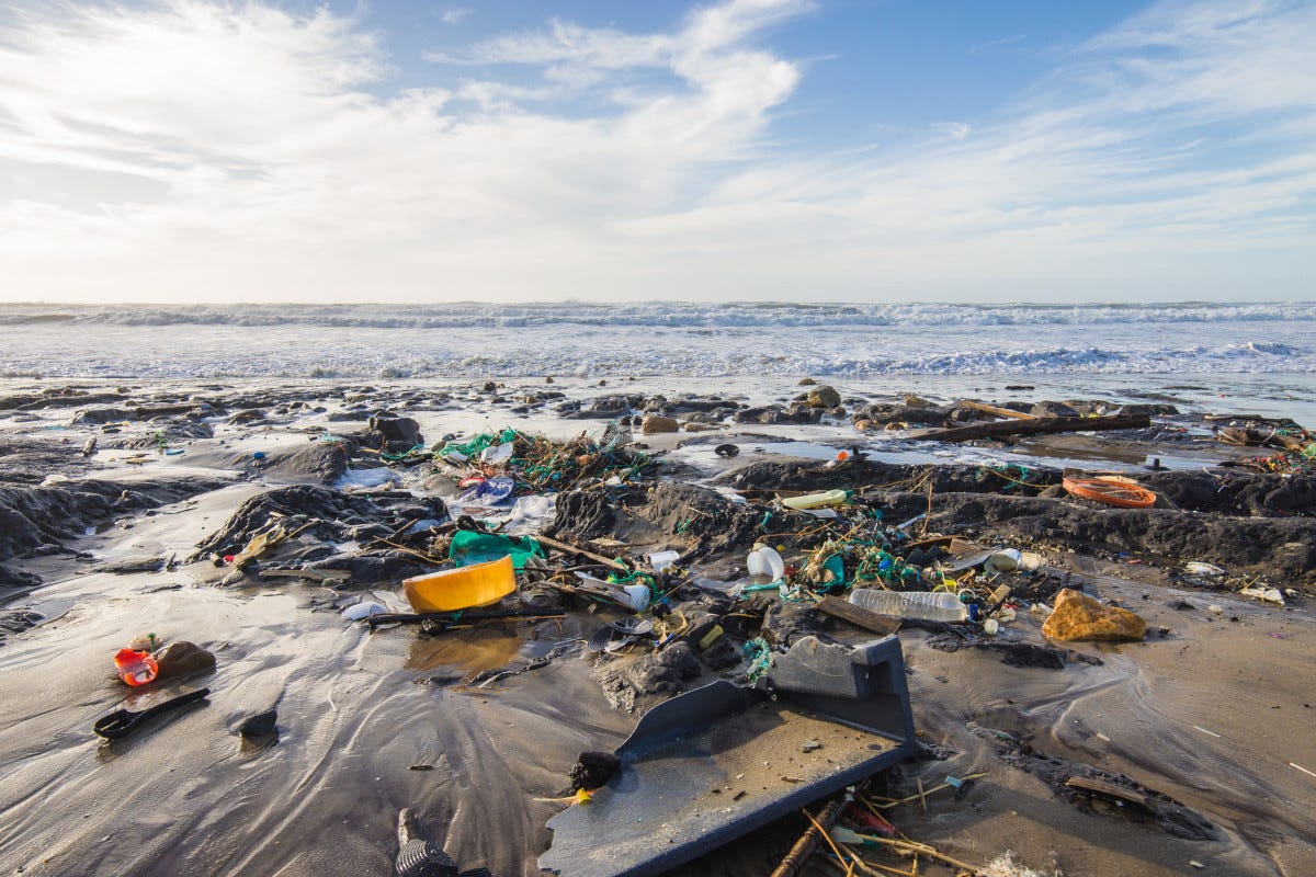 In mare c'è più plastica che pesci: non bisogna aspettare il 2050