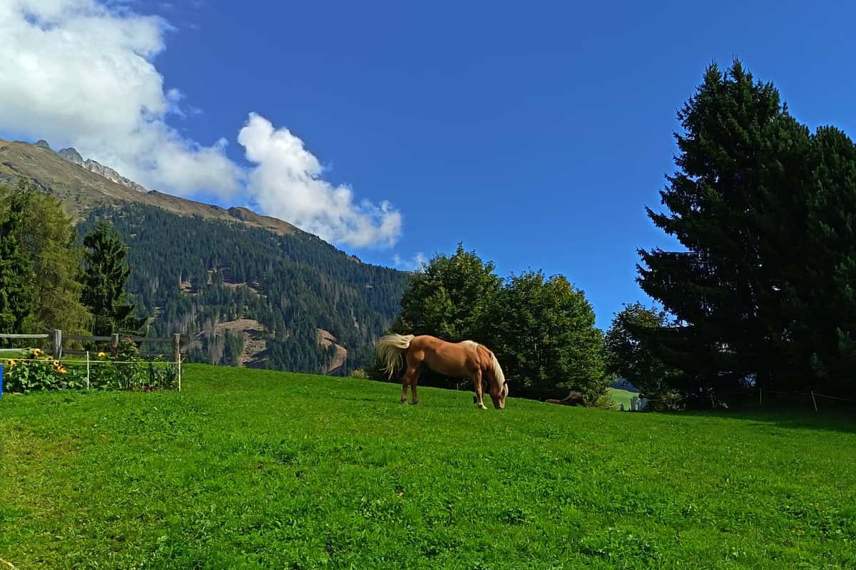 Benessere tra le Alpi: l'hotel dove vivere l’autunno tra Sky Pool, saune e natura Benessere tra le Alpi: l'hotel dove vivere l’autunno tra Sky Pool, saune e natura