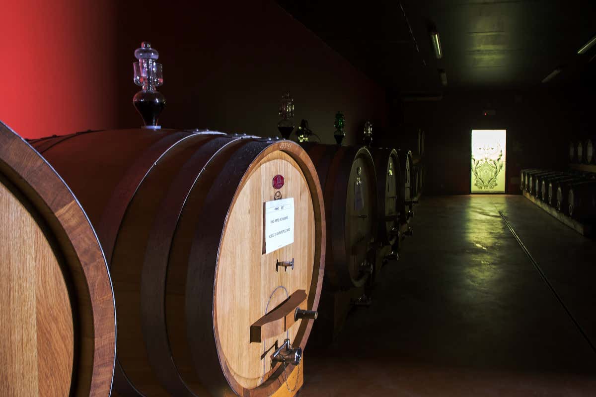 Podere Casanova, soggiorno di...vino a Montepulciano