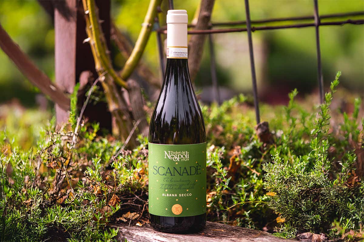 Vini di Romagna: Poderi dal Nespoli rinnova i rossi e presenta due bianchi