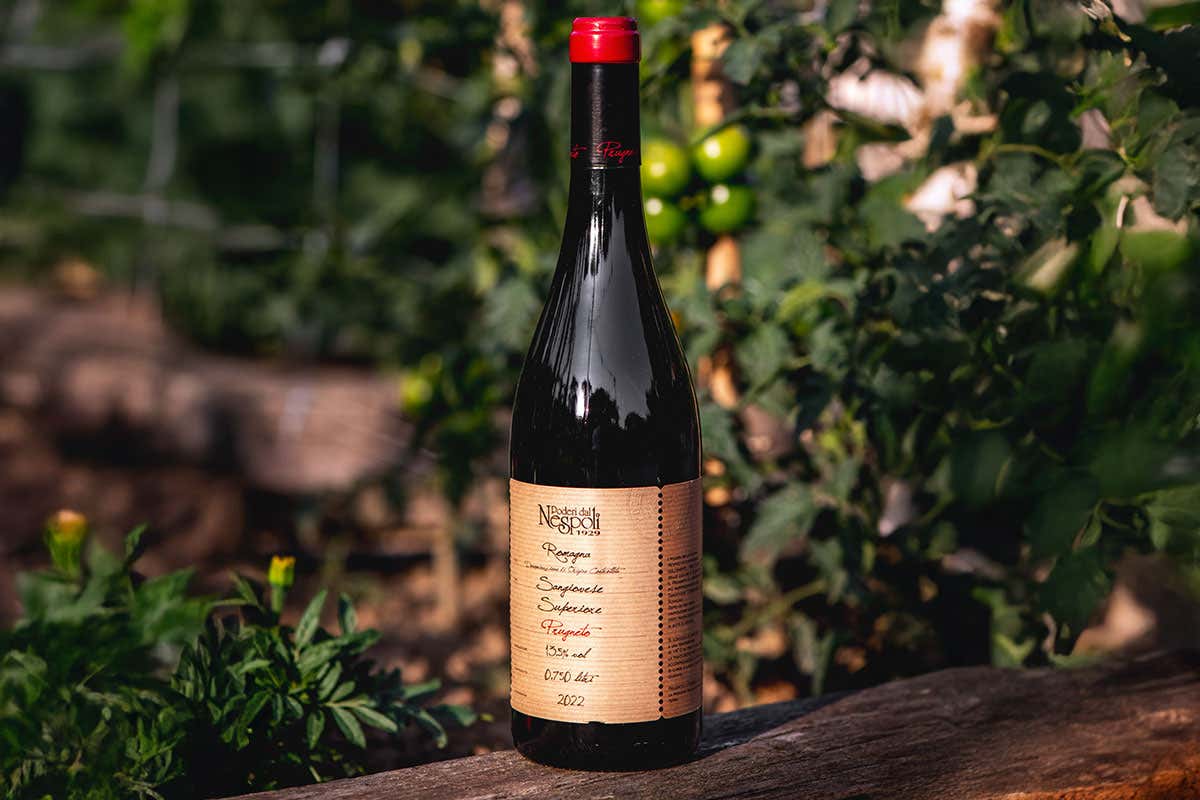 Vini di Romagna: Poderi dal Nespoli rinnova i rossi e presenta due bianchi