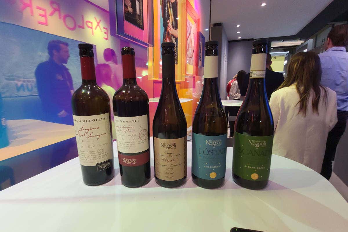 Vini di Romagna: Poderi dal Nespoli rinnova i rossi e presenta due bianchi