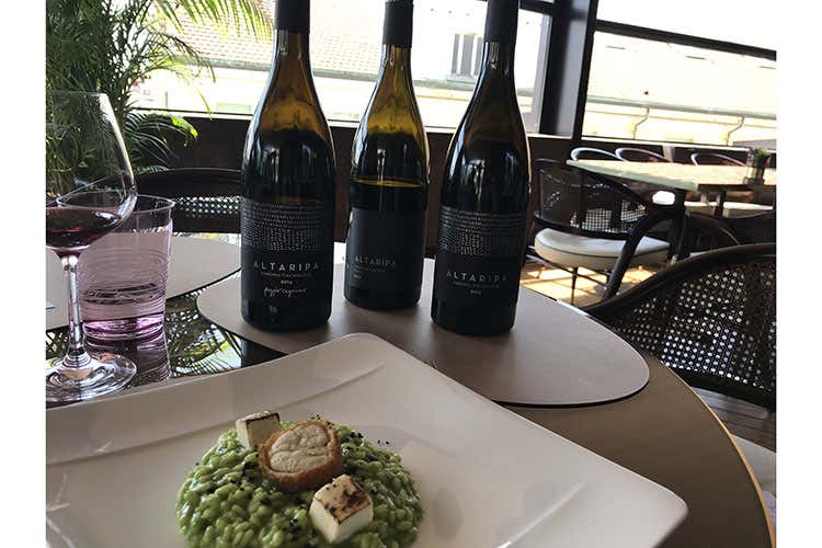 (Poggio Cagnano, boutique winery Vini bio e d'alta quota in Maremma)