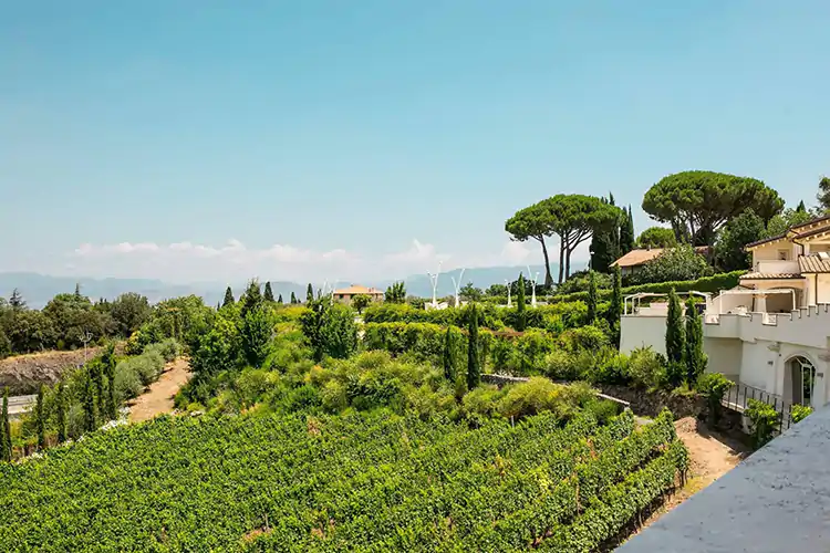 Wine delivery con Poggio Le Volpi La Pasqua 2021 nel Lazio tra staycation e picnic in casa