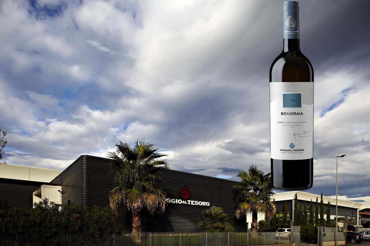 Sondraia bianco Poggio al Tesoro, piace l'esordio del Sondraia bianco Sondraia bianco Poggio al Tesoro, piace l'esordio del Sondraia bianco