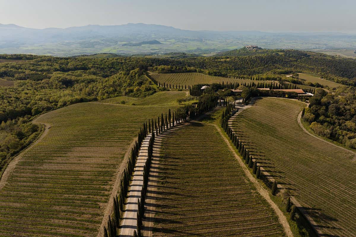 Freddo tardivo e maturazione lenta: i segreti dell’annata 2021 di Poggio Antico Freddo tardivo e maturazione lenta: i segreti dell’annata 2021 di Poggio Antico