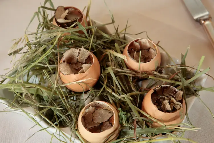 Polentina morbida, fonduta di Montasio e tartufo nero La magia del passato al Ristorante San Michele di Fagagna