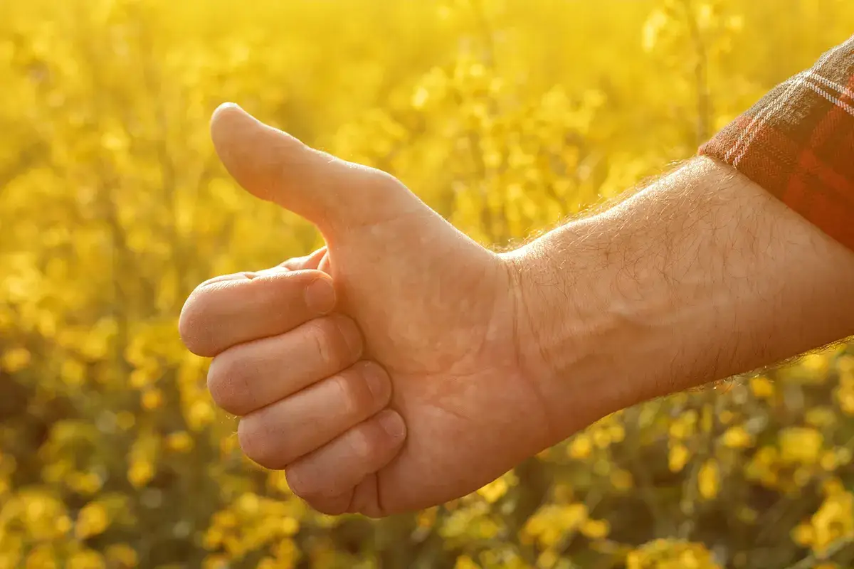 Dolore al pollice: quali sono i sintomi della rizoartrosi?