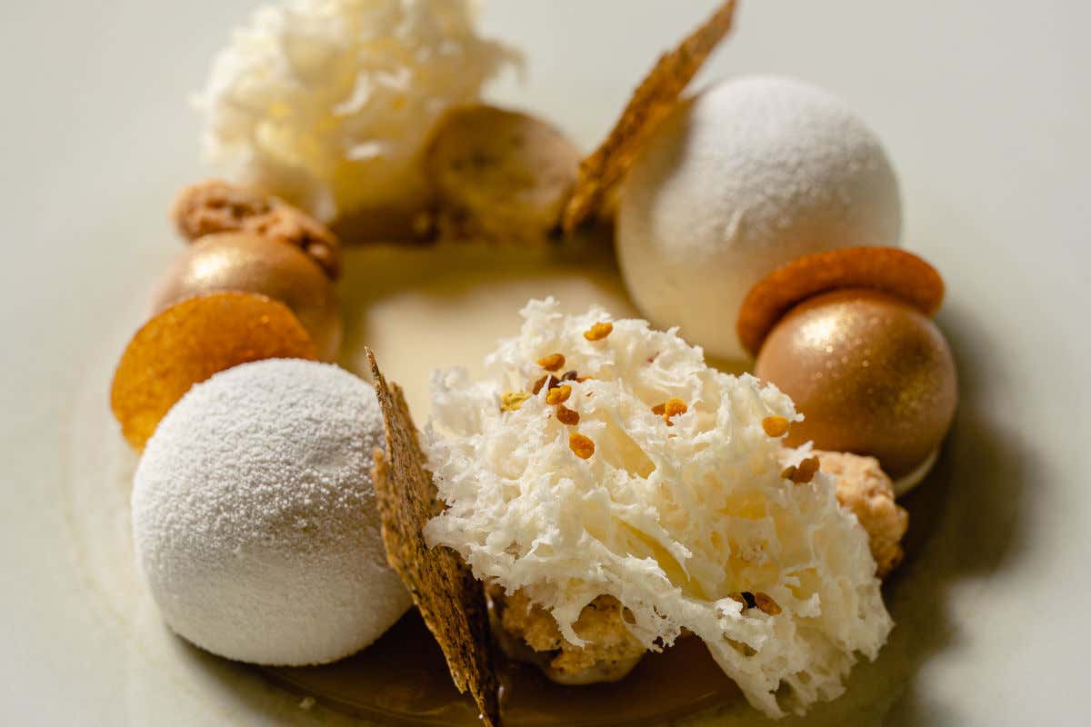 Polline &egrave; un piatto del percorso di degustazione La mia cucina vegetale&nbsp; 