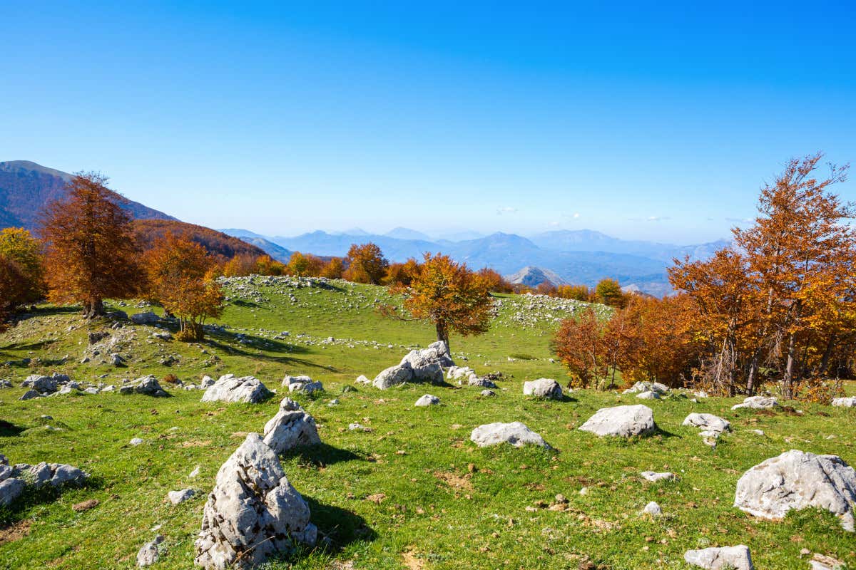 Il Parco nazionale del Pollino Basilicata coast to coast... in bici: itinerario su due ruote in un'Italia genuina
