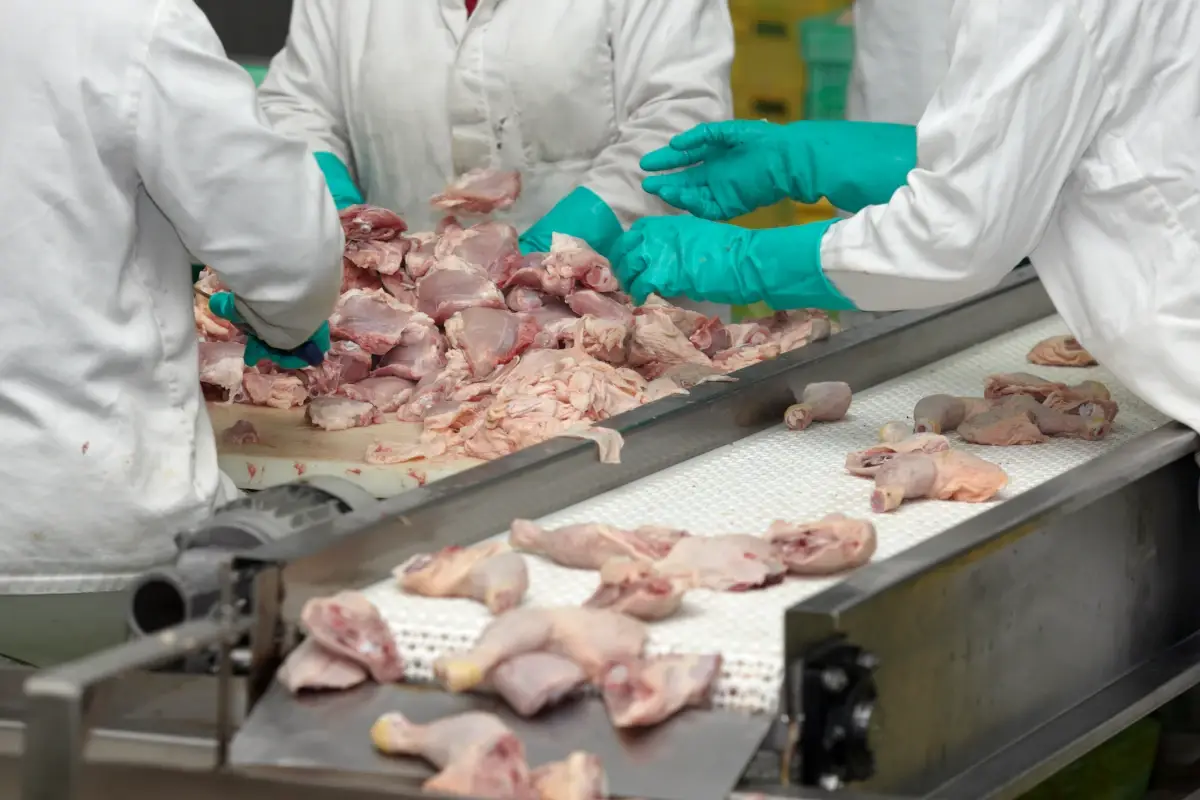 Listeria e alimenti contaminati: tutto quello che c'&egrave; da sapere
