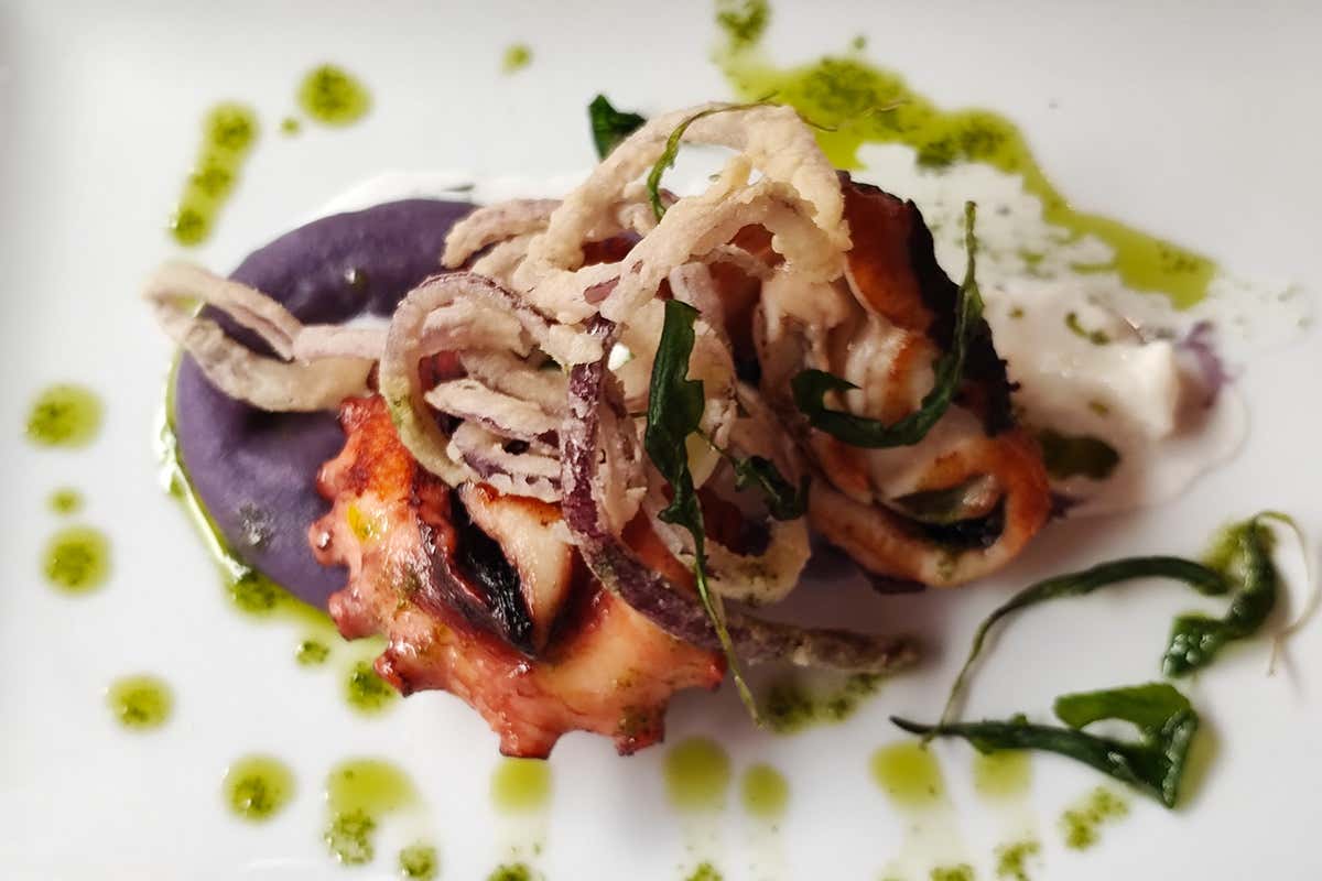 Polpo alla griglia con crema di patate viola, burrata e cipolla fritta - Foto DoppioQuarto The man and the sea: cucina di mare nel centro storico di Bologna