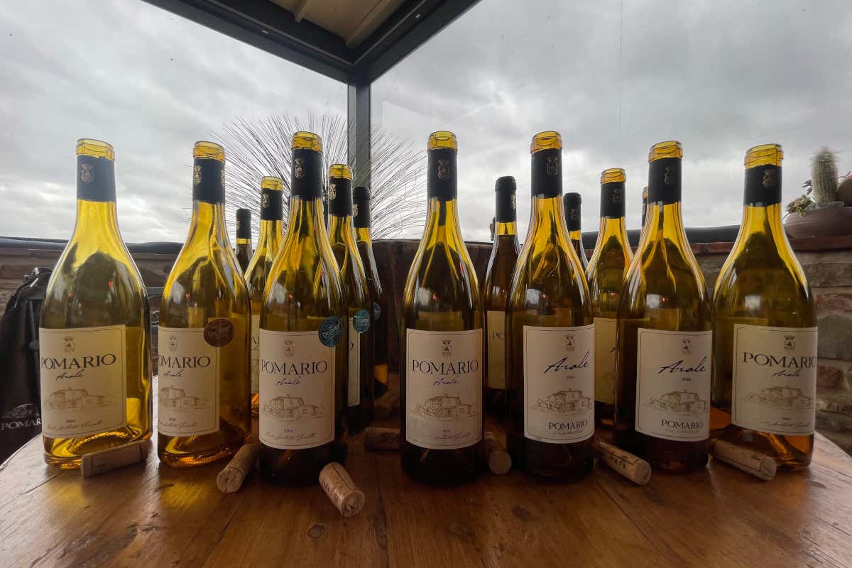 Pomario, la cantina dell'Umbria che non ti aspetti