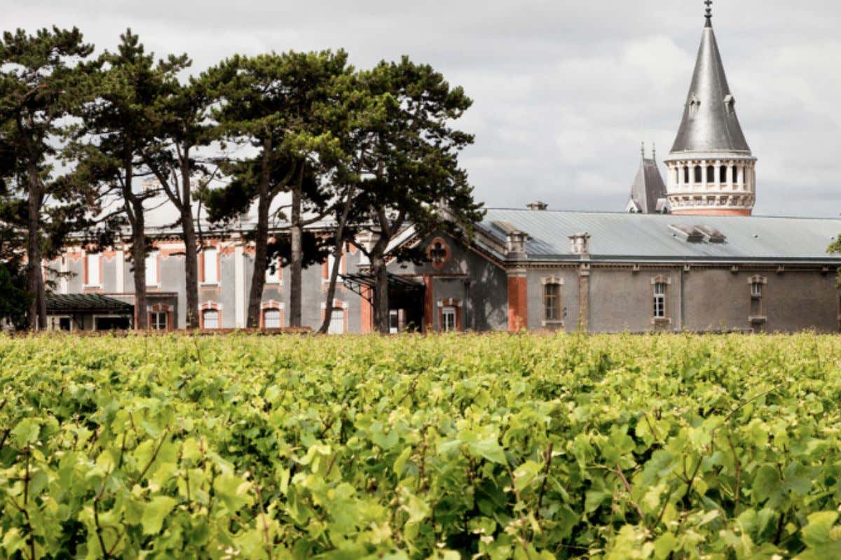 Vino e arte: Domaine Pommery festeggia 20 anni delle sue "Experiences" 