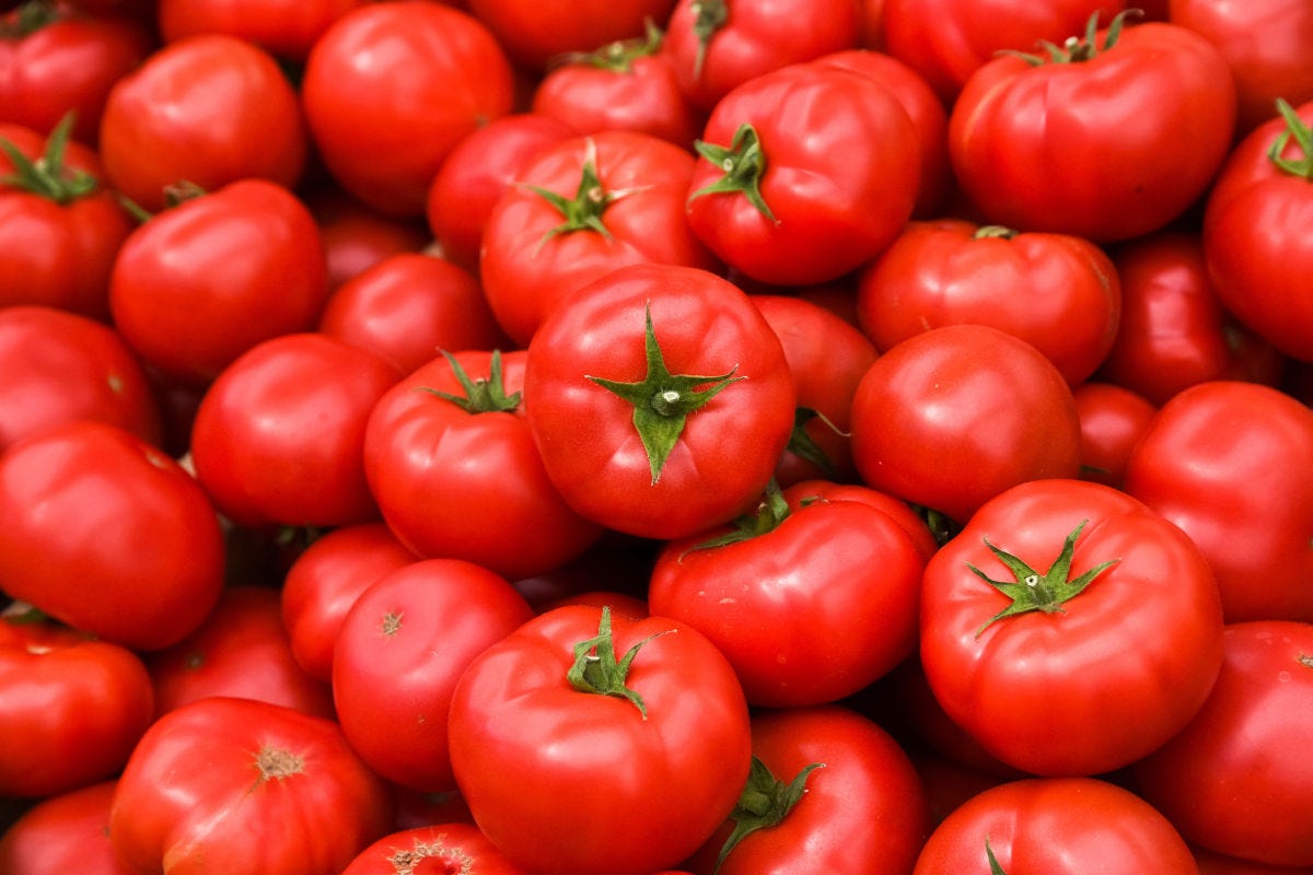Pomodori, primo prodotto tra gli ortaggi freschi per le famiglie italiane