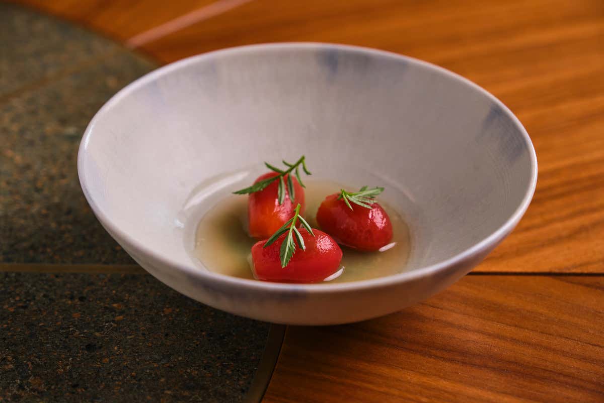 Pomodori, vaniglia e kombucha di kombu 