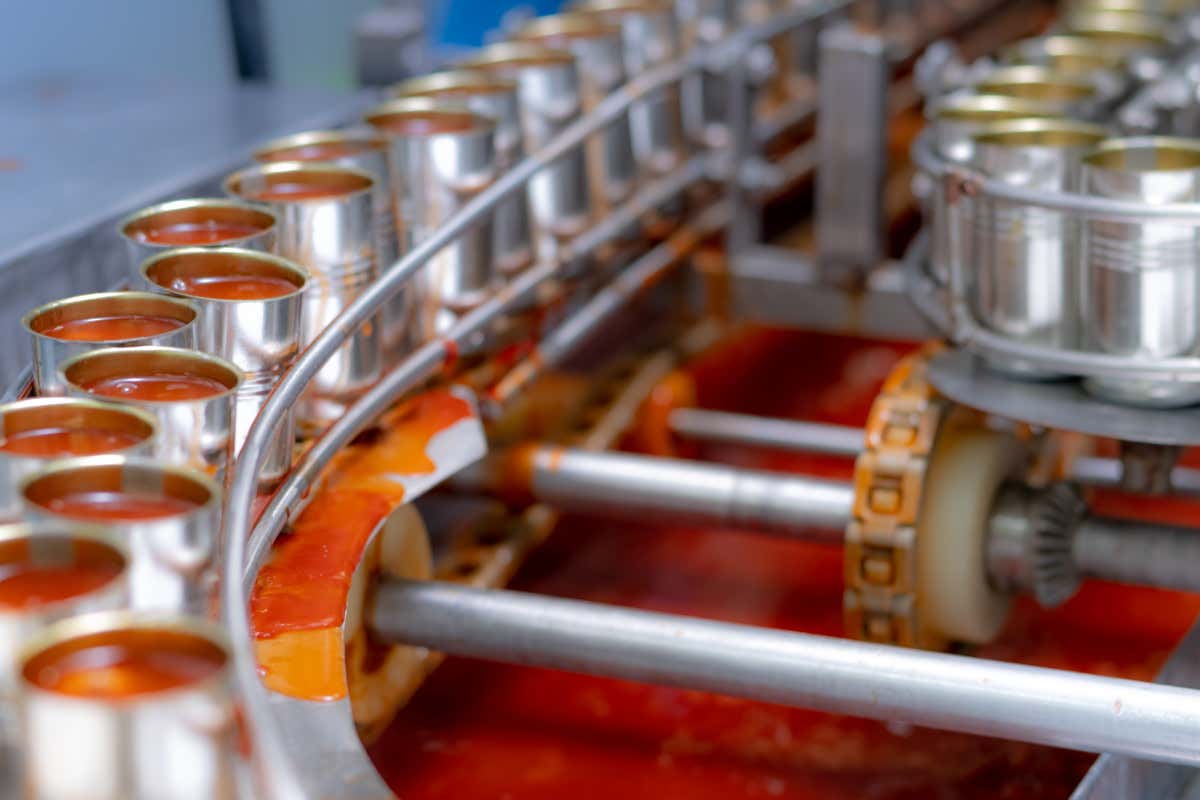 Pomodoro da industria: l’Italia supera la Cina e torna seconda al mondo per volumi di trasformazione L’Italia torna a essere il secondo Paese trasformatore di pomodoro nel mondo