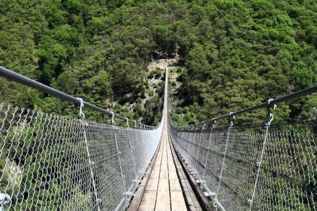 Il ponte tibetano Carasc Escursioni da non perdere nel variopinto autunno ticinese