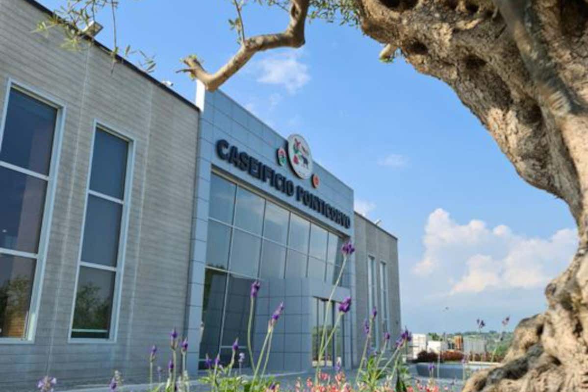 Il caseificio Ponticorvo, ad Alvignano un caseificio digitale ed inclusivo Il caseificio Ponticorvo, ad Alvignano un caseificio digitale ed inclusivo