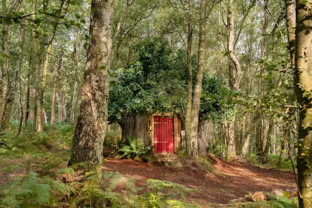 La casa ispirata a Winnie the Pooh. Fonte: Airbnb Dormire nel Bosco dei Cento Acri? C&rsquo;&egrave; la casa di Winnie the Pooh