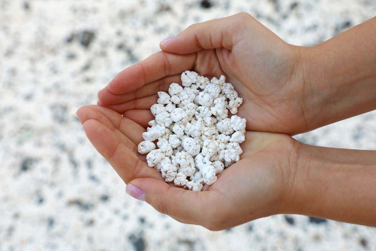 Fuerteventura e quella spiaggia bianca con sassolini simili a pop-corn Fuerteventura e quella spiaggia bianca con sassolini simili a pop-corn