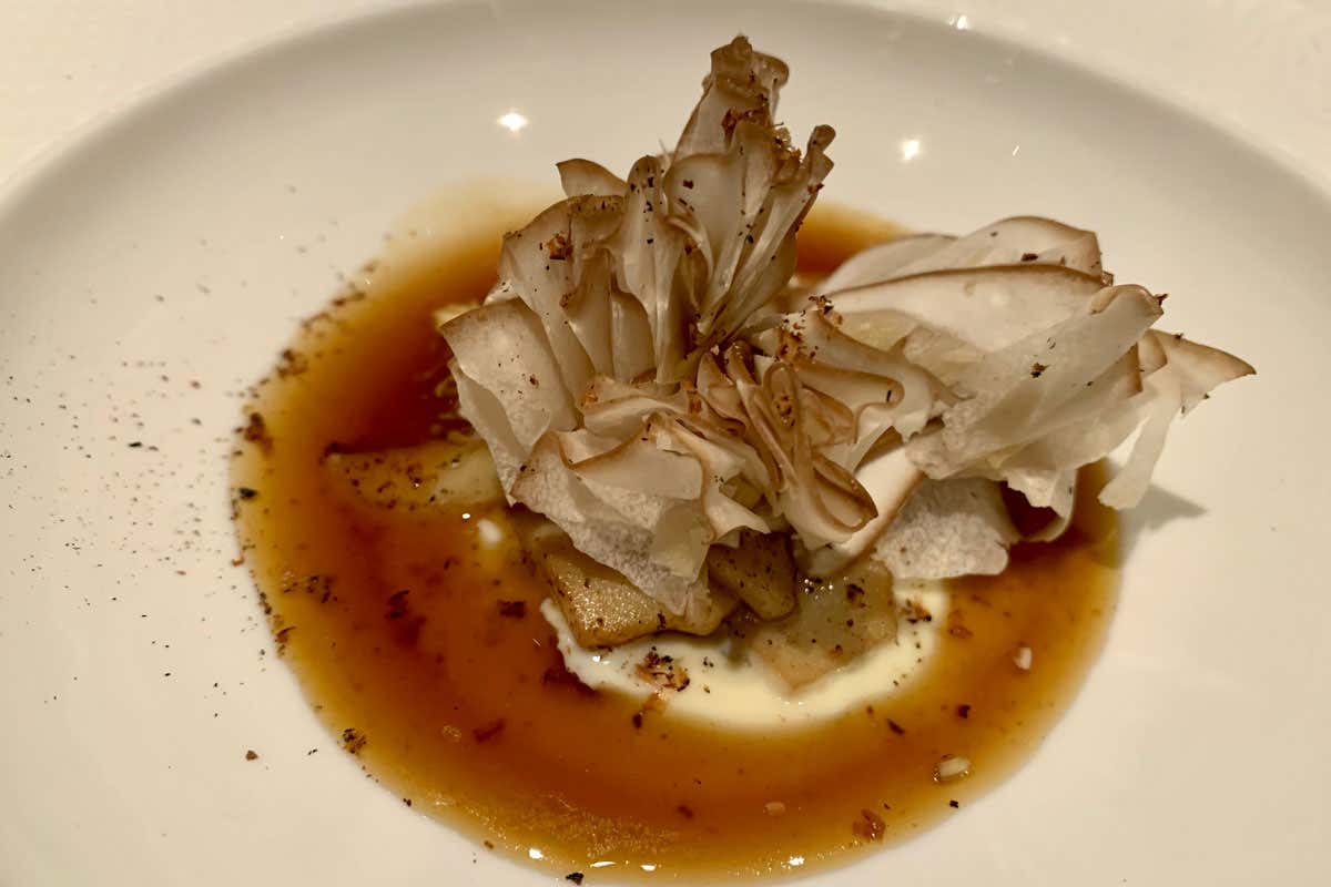 Pellico3, Guido Paternollo e Matteo Maenza interpretano l’autunno Pellico3, Guido Paternollo e Matteo Maenza interpretano l’autunno