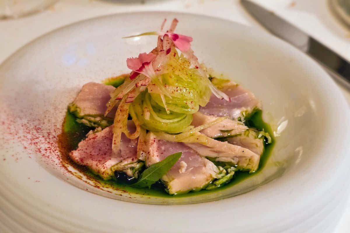 La Porta di Bologna: comfort, eleganza e una cucina che parla mediterraneo