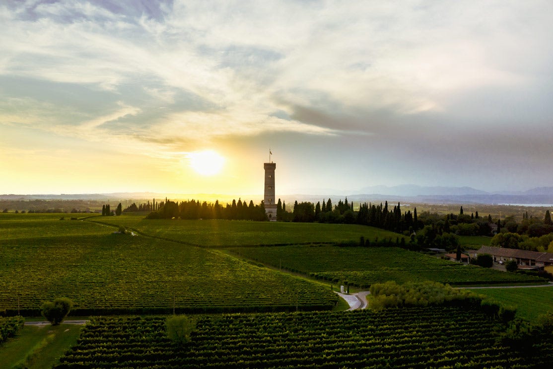 Il territorio del Lugana si sviluppa lungo la piana morenica a Sud del lago di Garda, a cavallo di due province, Brescia e Verona Lugana Doc vino bianco di grande classe