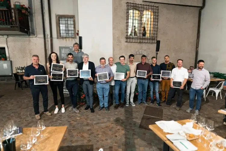 Un momento della premiazione Concorso M&uuml;ller Thurgau, 24 le medaglie d&rsquo;oro