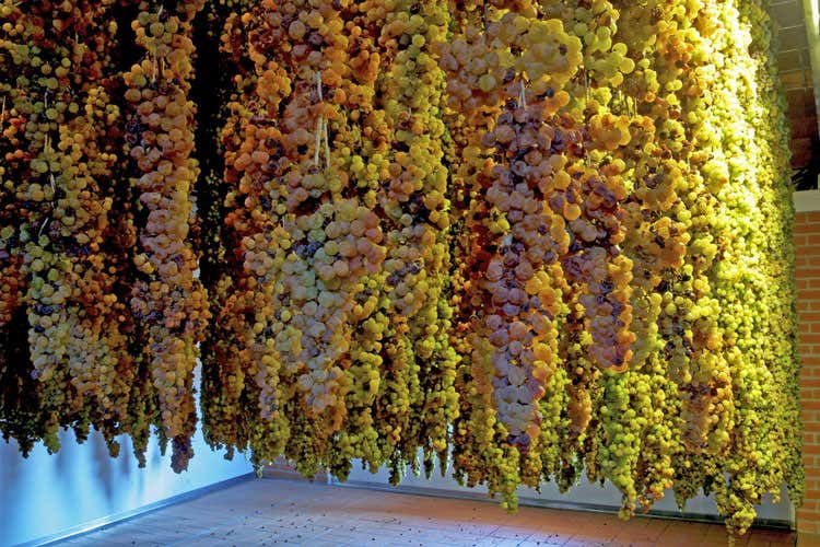 Il concorso è aperto ai cuochi professionisti e non (Ricette salate e vini dolci Al via il 3° Premio Maculan) Il concorso è aperto ai cuochi professionisti e non (Ricette salate e vini dolci Al via il 3° Premio Maculan)