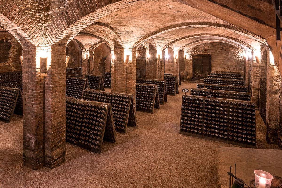 Alta Langa, 6 milioni di bottiglie nel 2030. I migliori assaggi alla “Prima” 2024