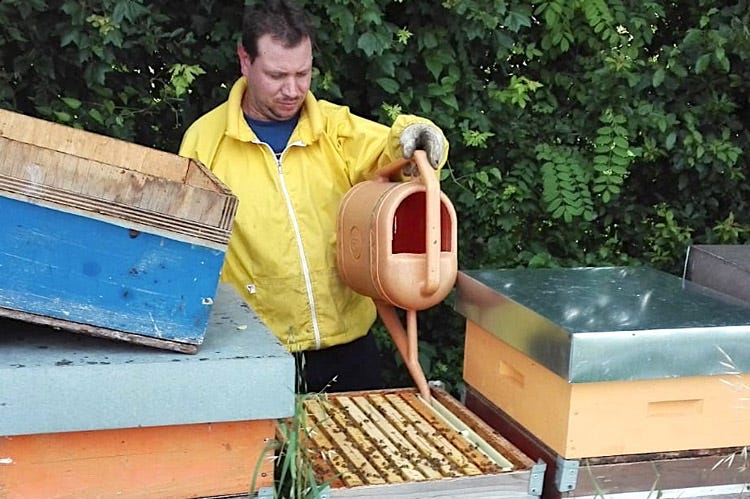 Gli apicoltori hanno perso gran parte della produzione (Una primavera senza mieleGli apicoltori chiedono aiuti)