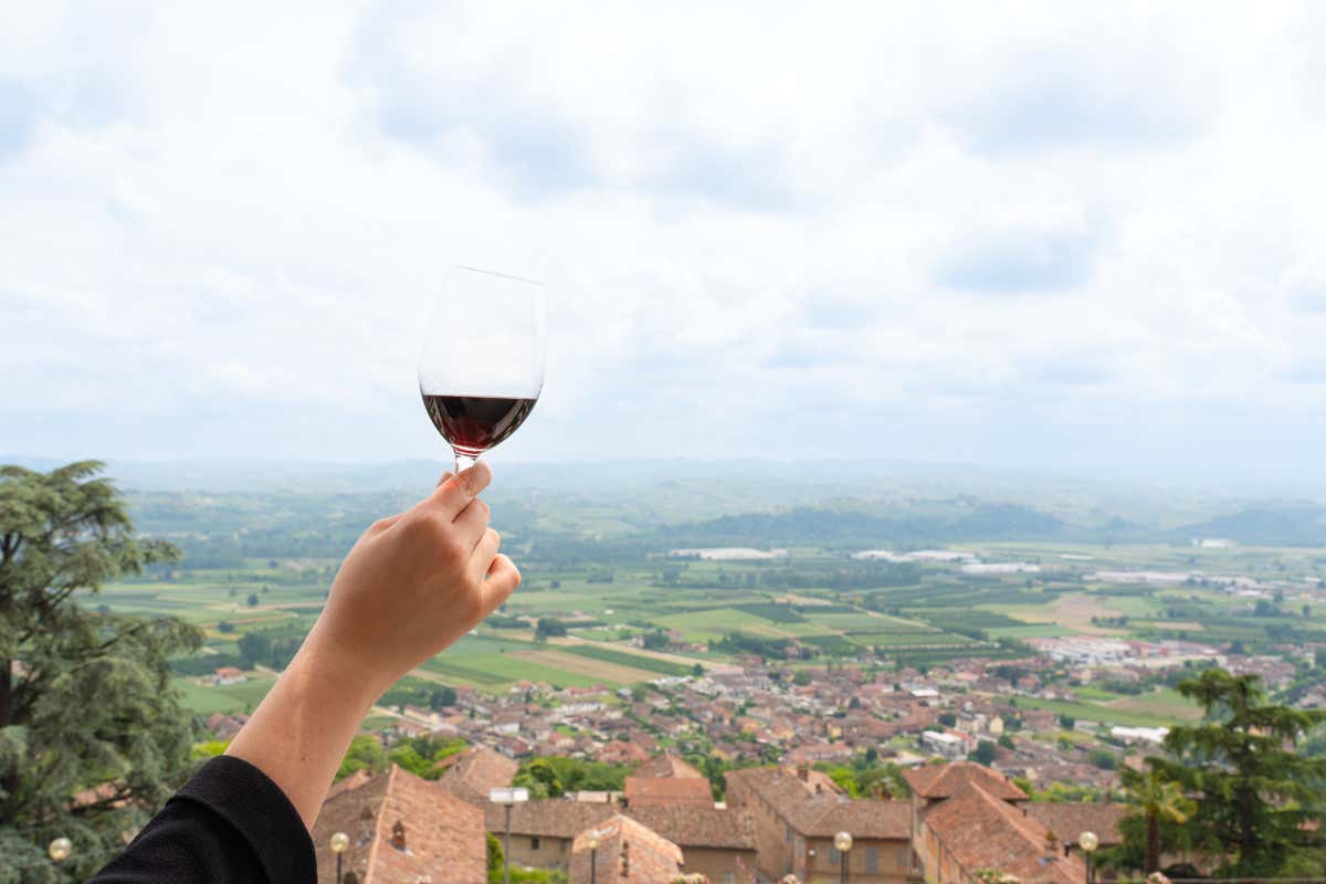 Castellinaldo Barbera d'Alba Doc: presentata l'anteprima dell'annata 2023