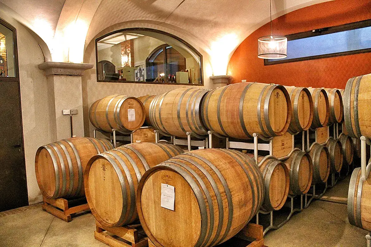 Prime Alture è “La Cantina di Milano”: dalla vigna alla tavola
