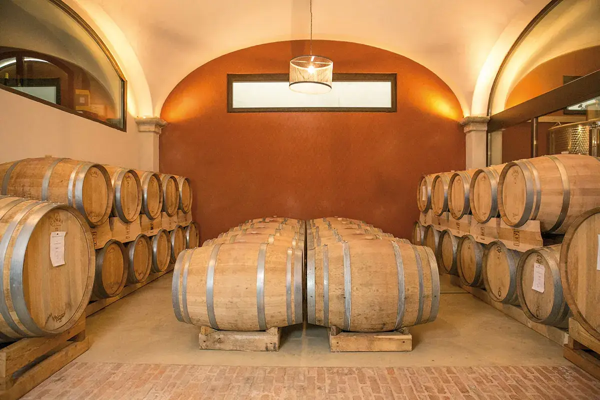 Prime Alture è “La Cantina di Milano”: dalla vigna alla tavola