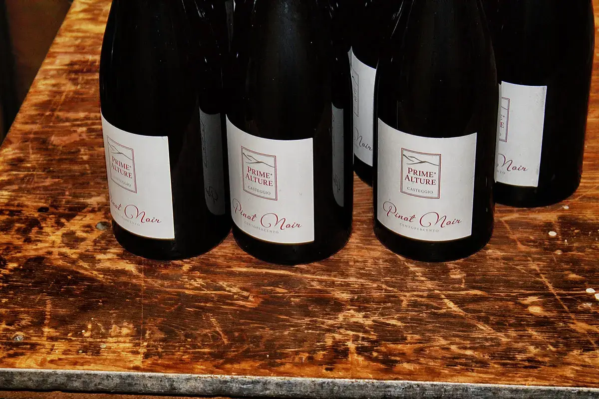 Prime Alture è “La Cantina di Milano”: dalla vigna alla tavola
