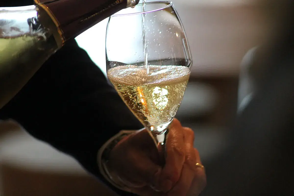Prime Alture è “La Cantina di Milano”: dalla vigna alla tavola