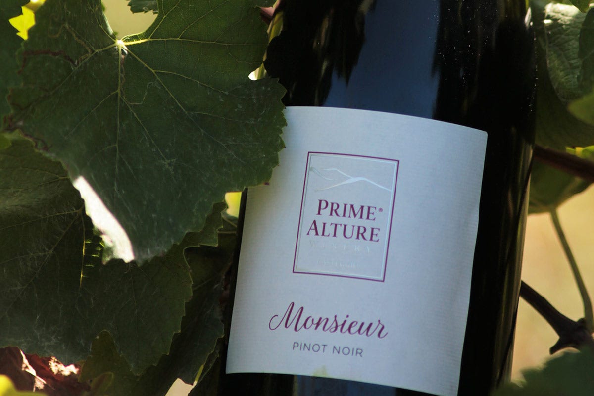 Monsieur Pinot Noir Prime Alture: Pinot Nero per passione, dalla vigna alla bottiglia