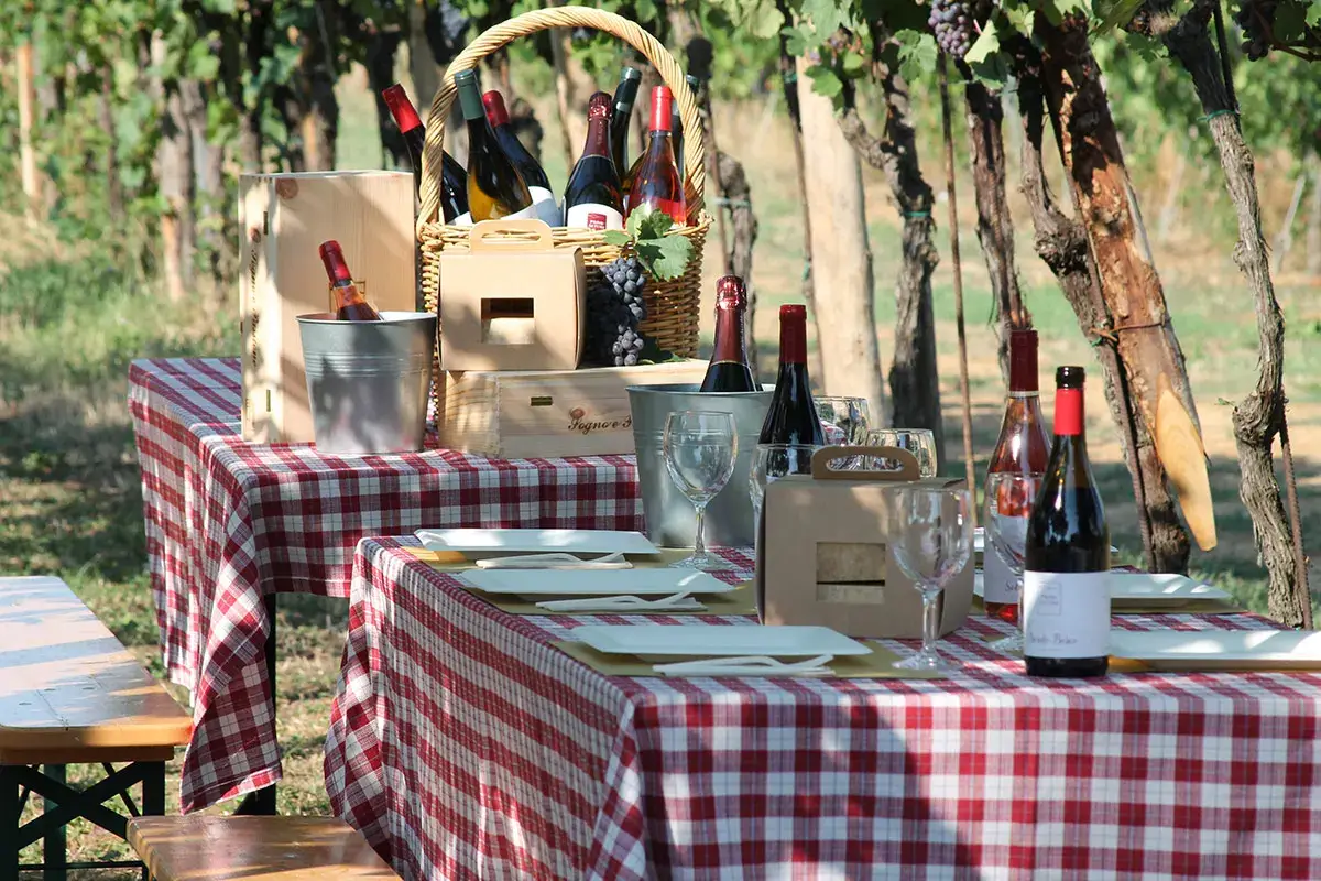 Prime Alture è “La Cantina di Milano”: dalla vigna alla tavola