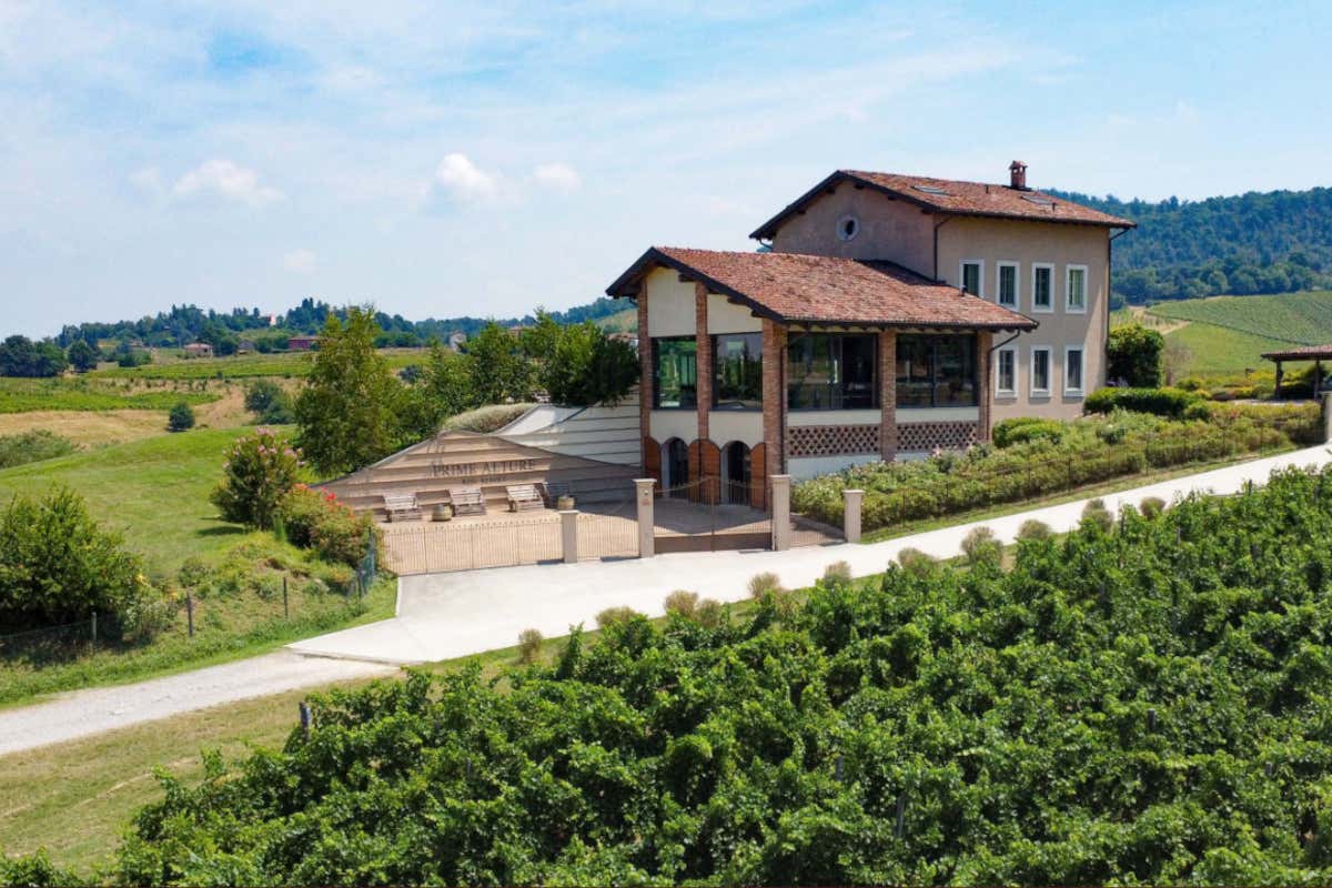 Progetto Wine Village Resort a Casteggio, come investire tra vigne e ospitalità Progetto Wine Village Resort a Casteggio, come investire tra vigne e ospitalità