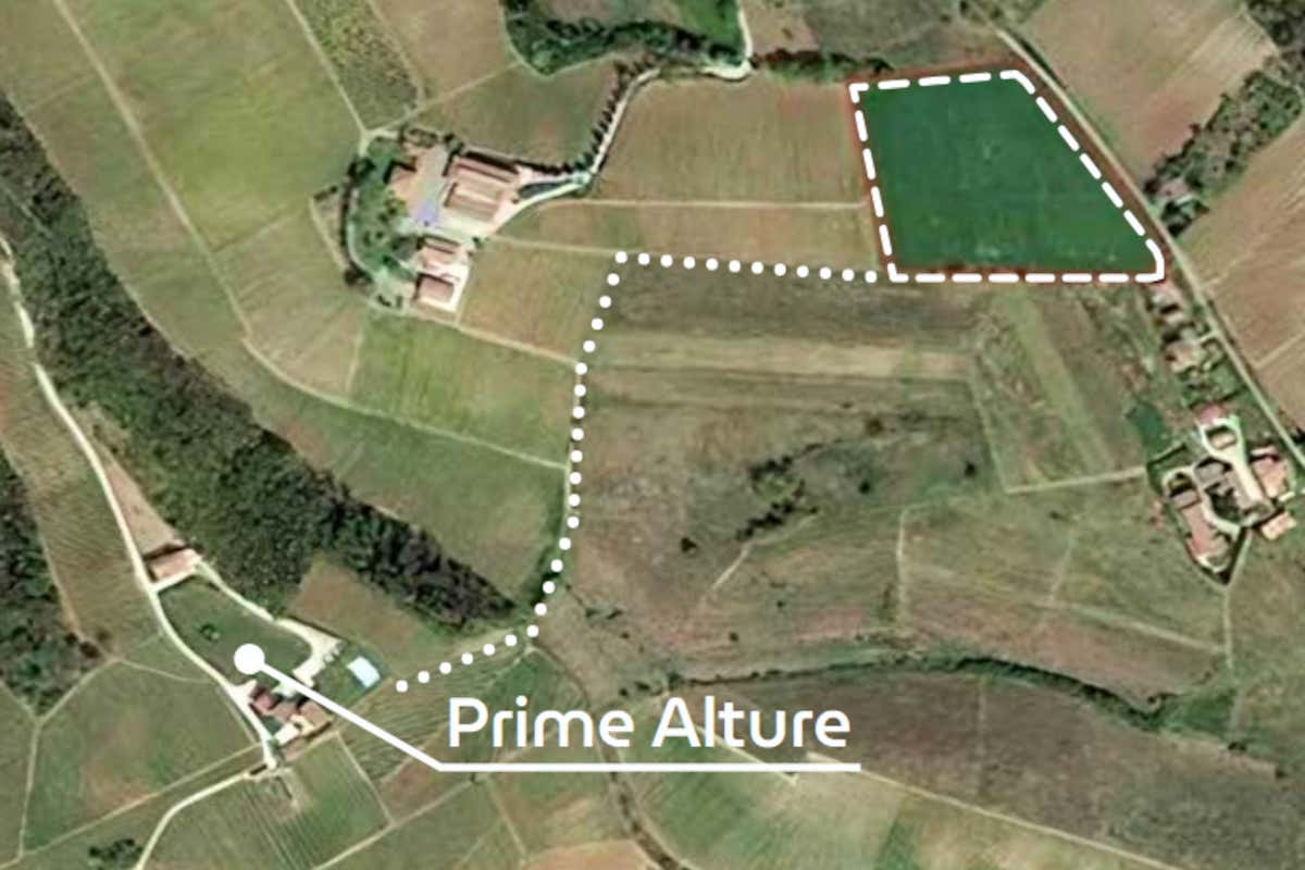 Progetto Wine Village Resort a Casteggio, come investire tra vigne e ospitalità Progetto Wine Village Resort a Casteggio, come investire tra vigne e ospitalità