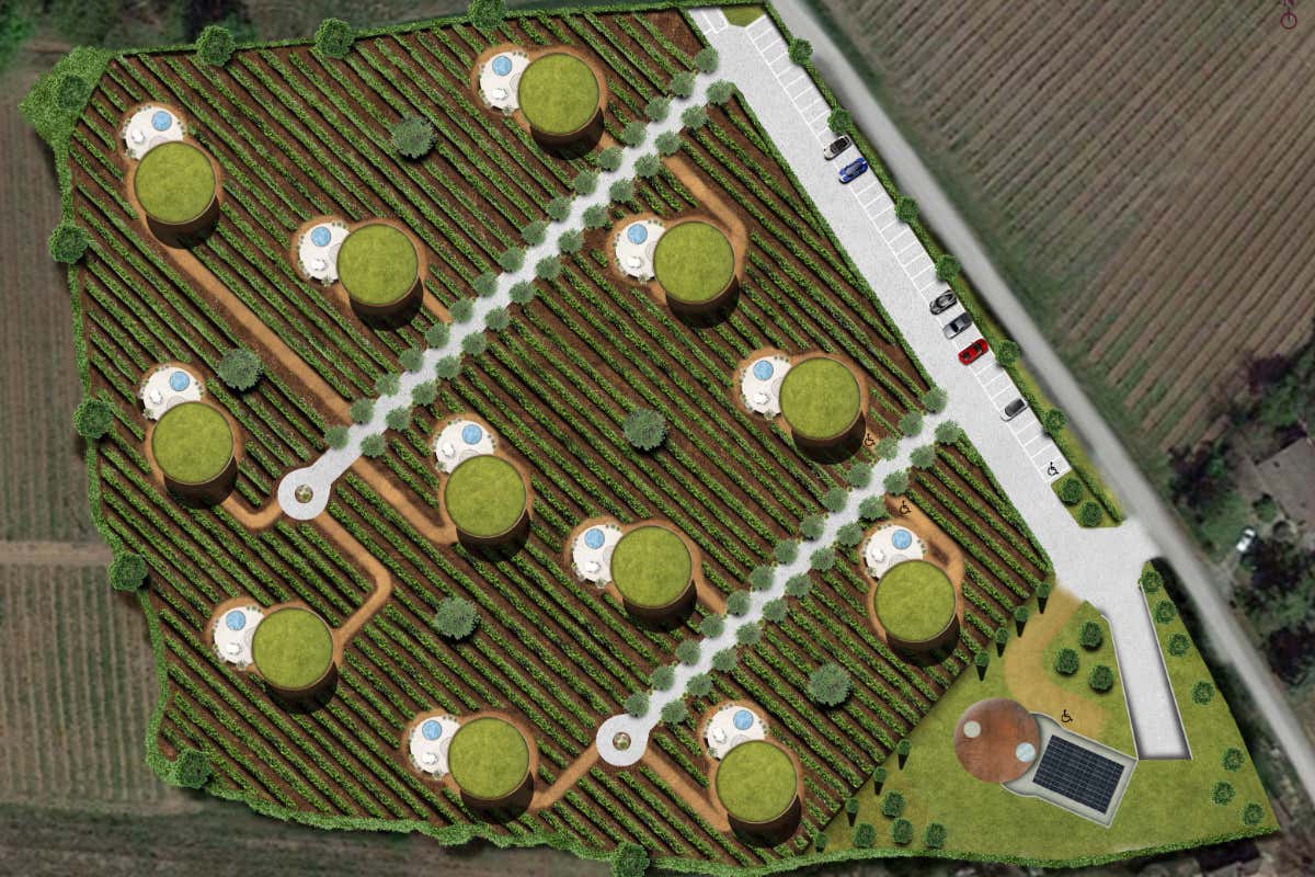 Progetto Wine Village Resort a Casteggio, come investire tra vigne e ospitalità Progetto Wine Village Resort a Casteggio, come investire tra vigne e ospitalità